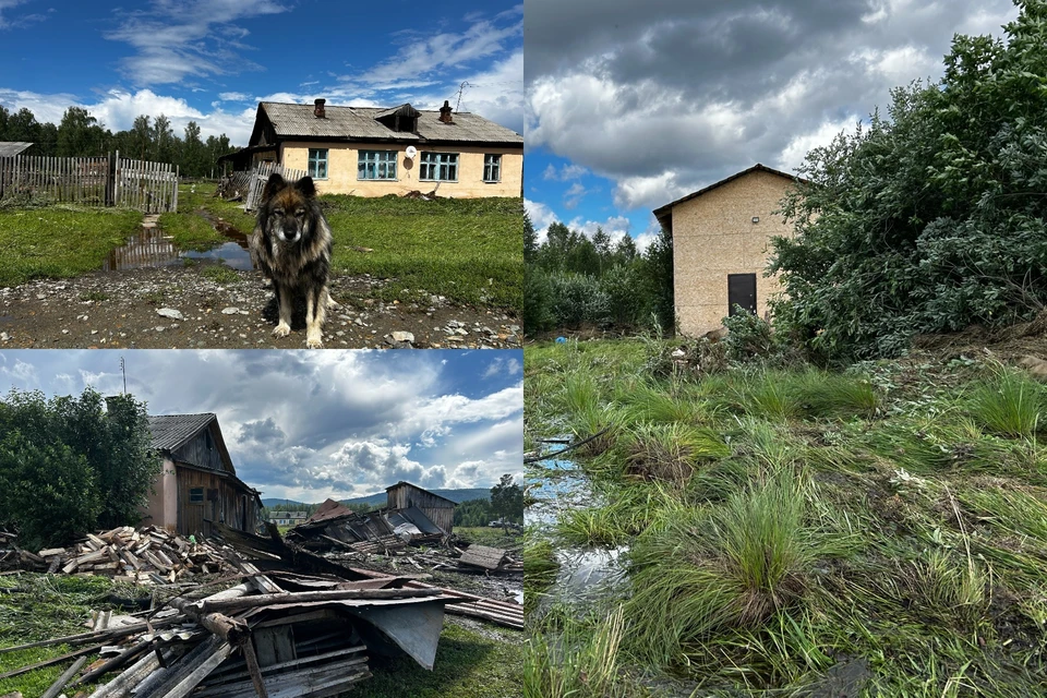 Спустя пять дней дождя над Киолимом засияло солнце.