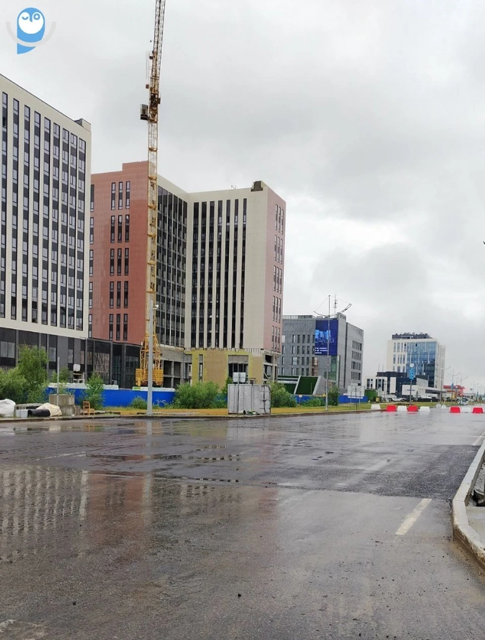 Фото: администрация Нового Уренгоя