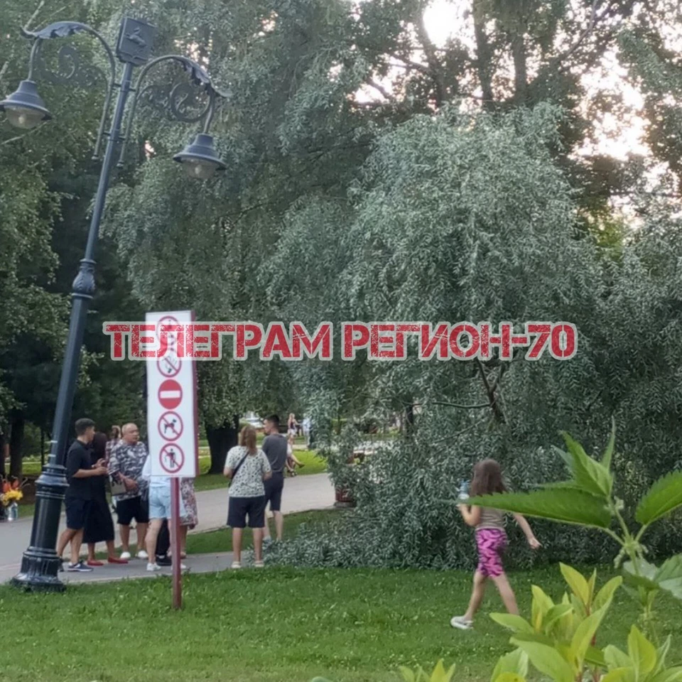 Фото: "Регион-70"
