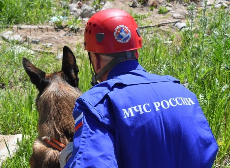 На поиски девушки прибыли специалисты МЧС России и добровольцы