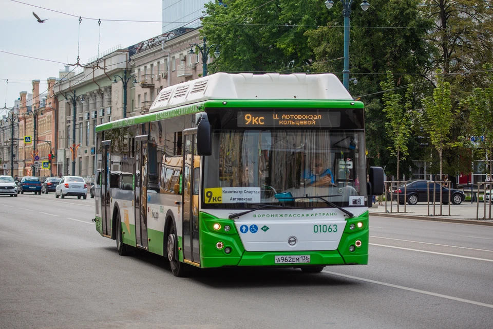 Три новых автобусных маршрута запустят на Бору с 1 августа