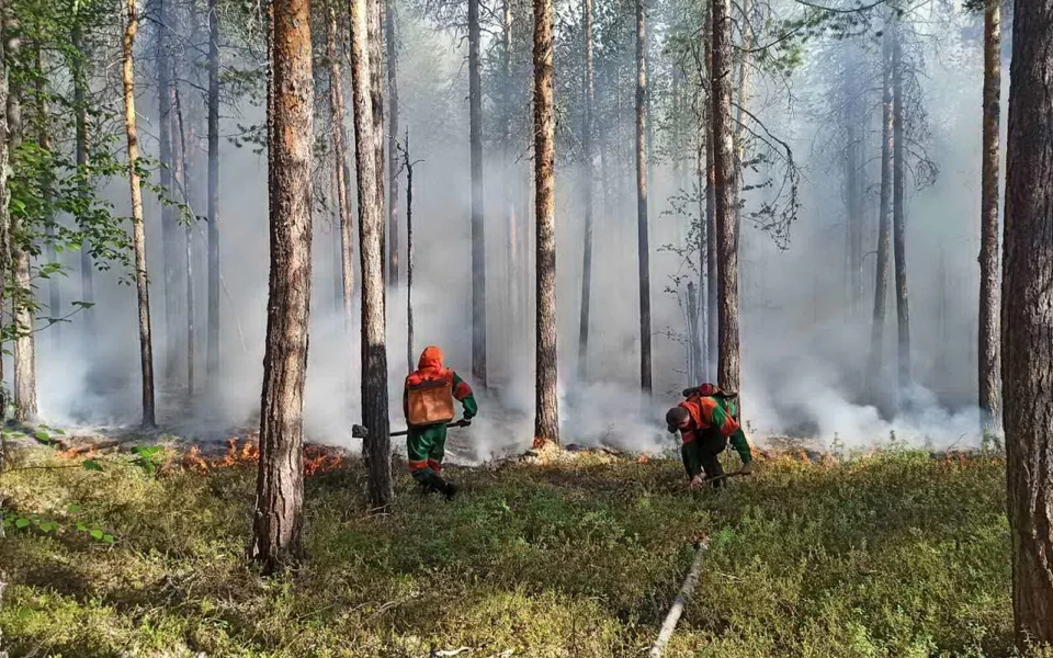 Фото: департамент гражданской зажиты и пожарной безопасности ЯНАО