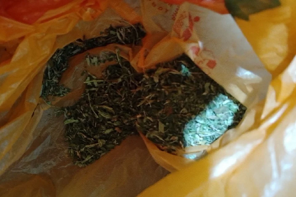 В Голопристанском округе Херсонской области сотрудники полиции обнаружили у мужчины коноплю. ФОТО: ГУ МВД России по Херсонской области