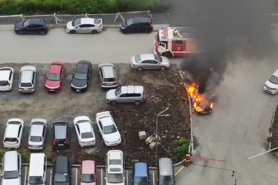 Фото: принтскрин видео dpskontrol_125rus.