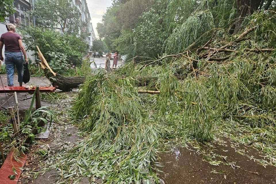 Фото: телеграм-канал главы Ессентуков