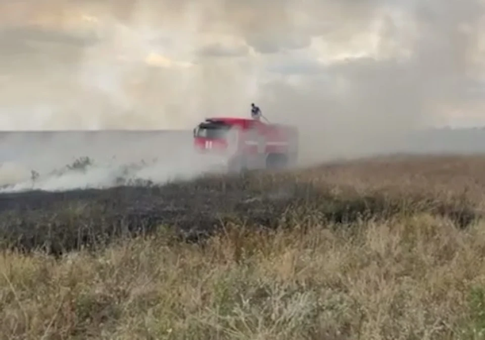 Фото: кадр видео пресс-службы ГУ МЧС по РК