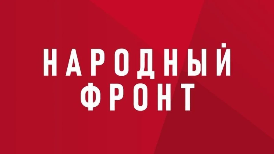 Приложение "Радар. НФ" было представлено летом прошлого года. Фото: Народный фронт