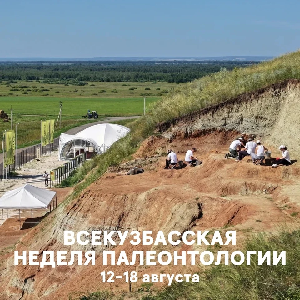 Фото:Кузбасский государственный краеведческий музей