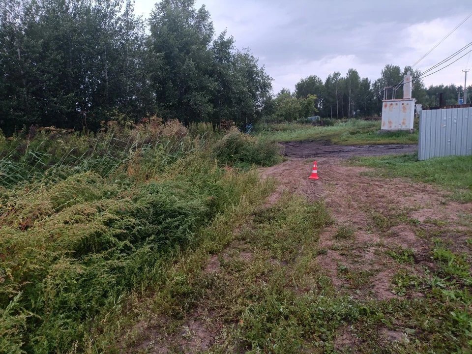 Фото: ГИБДД Тюменской области.