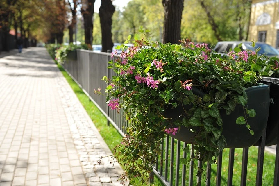 Новые цветочные композиции преобразят Хабаровск в следующем году