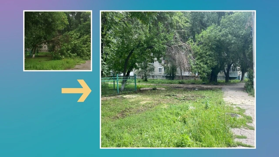 В Ульяновске на улице Артема, 13 рухнуло дерево. ФОТО: ЦУР УО