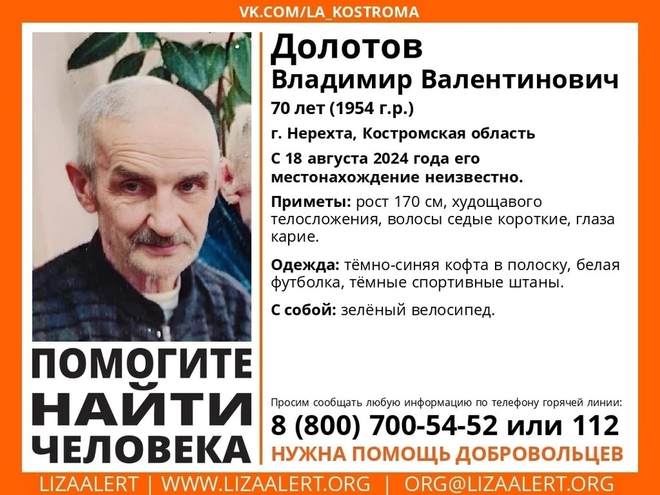 Фото: ДПСО "Лиза Алерт" Костромской области