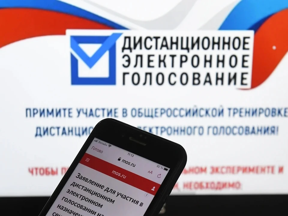 На тестовом голосовании москвичи решат, нужен ли закон о безнадзорных животных