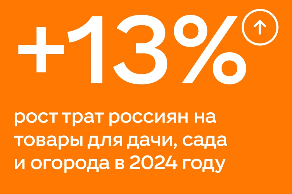 Россияне больше стали тратить на товары для дачи.