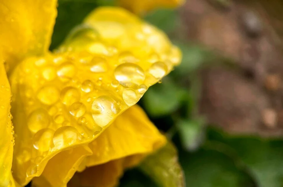 фото:freepik.com