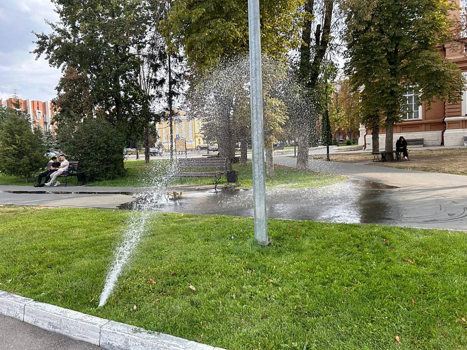 Фото: "Регион 64"