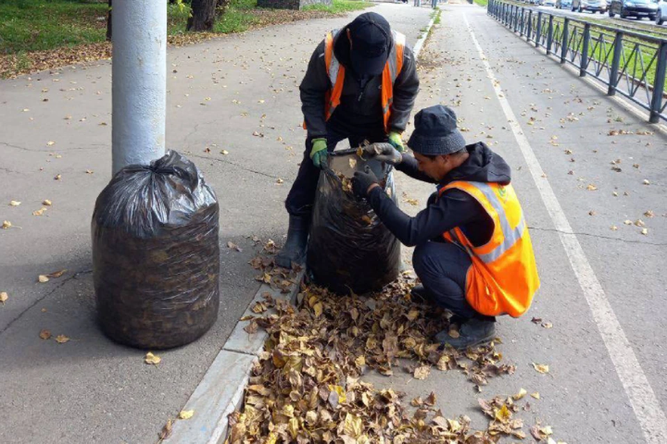 Листву с тротуаров убирают во всех районах Иркутска.