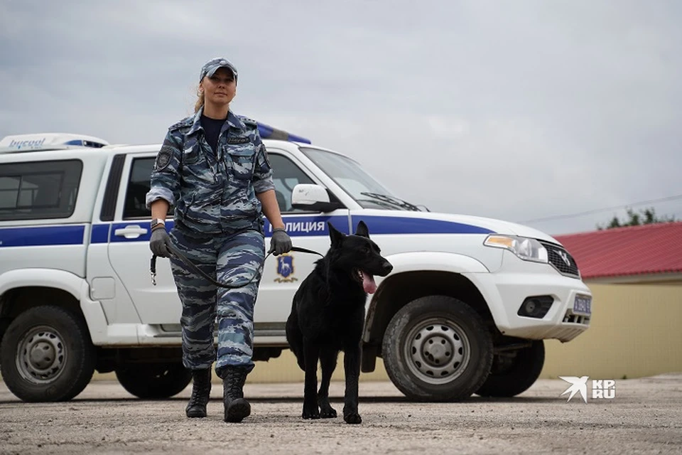 Поисками занимались сотрудники полиции и волонтеры