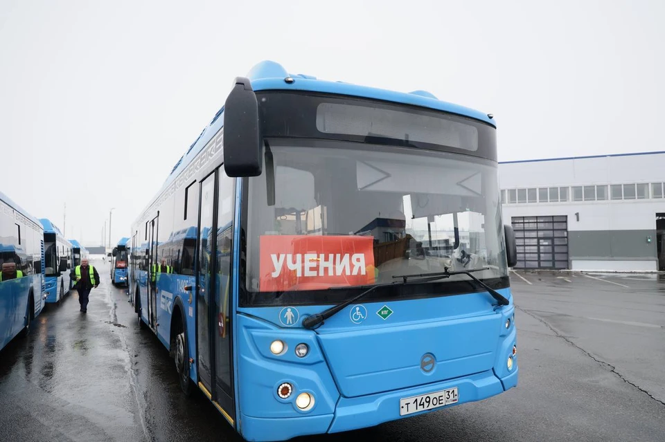 В Белгородской области отработали алгоритмы вывоза жителей в безопасные районы