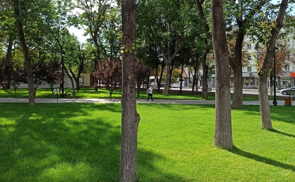 Засевать траву будут вдоль улиц, а также в парках и скверах
