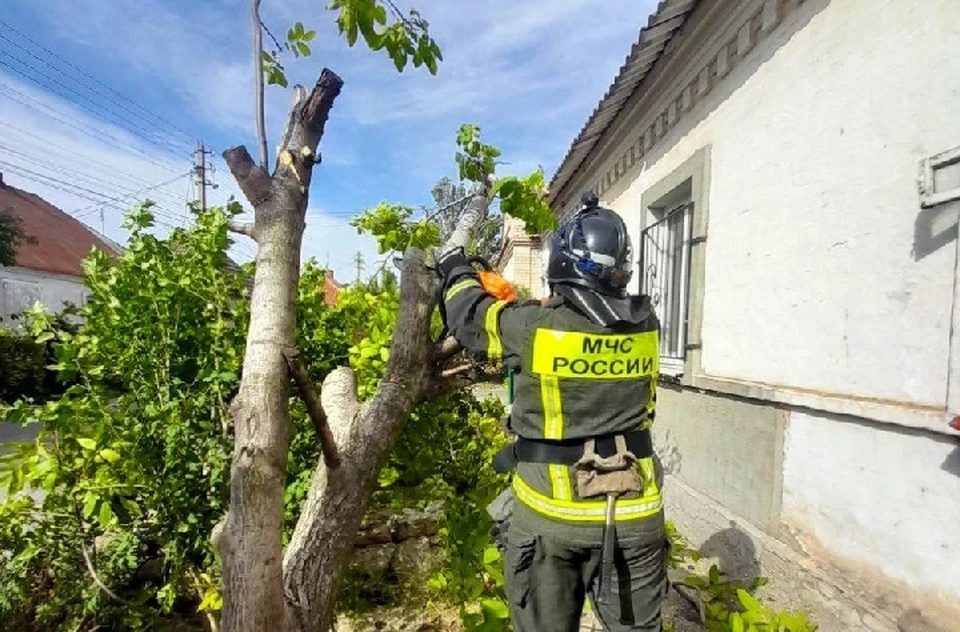 В Мелитополе Запорожской области ураганный ветер повалил дерево на крышу частного дома. ФОТО: ГУ МЧС России по Запорожской области