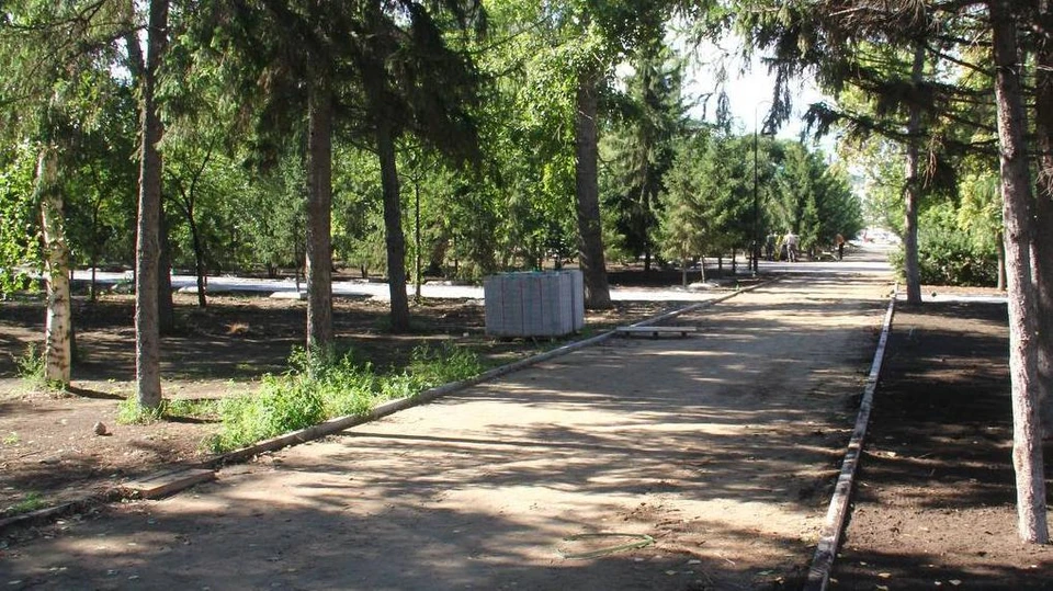 Фото: телеграм-канал Сергея Шелеста