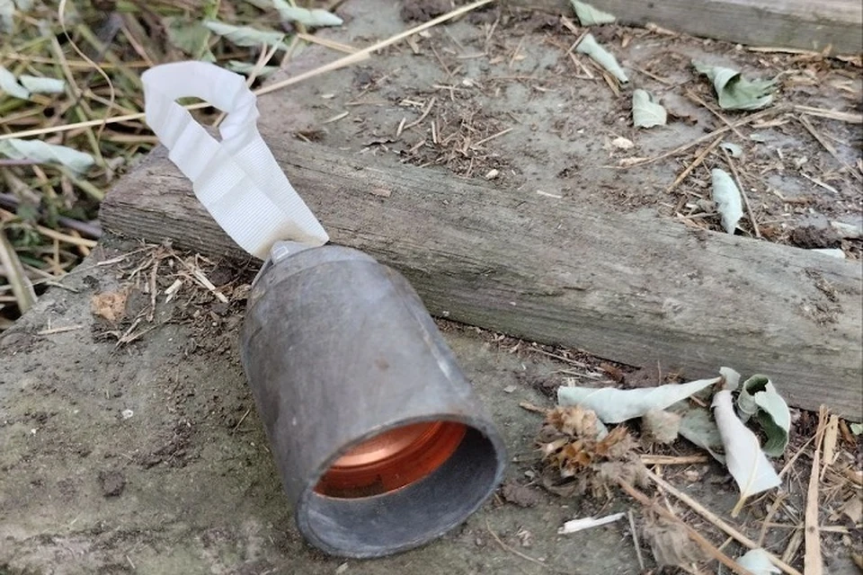 В Горловке обнаружили суббоеприпасы ВСУ типа колокольчик. Фото (архив): ТГ/Приходько