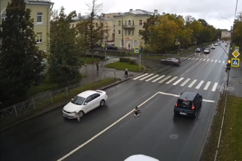 В Красном Селе перебегавшего через дорогу мальчика на большой скорости сбил автомобиль. Фото: скриншот видео Мегаполис | ДТП и ЧП | Санкт-Петербург