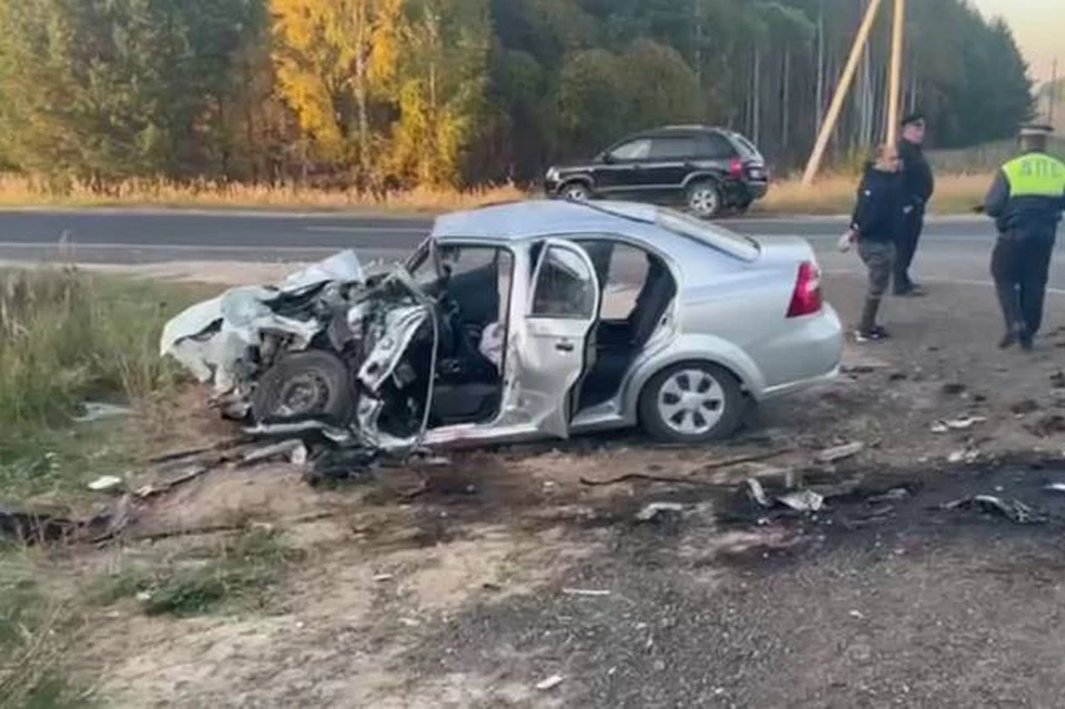 Два человека погибли в ДТП с грузовиком в Вознесенском районе