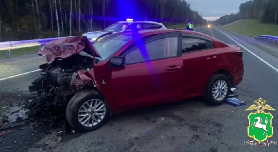 Полиция ищет очевидцев страшного ДТП