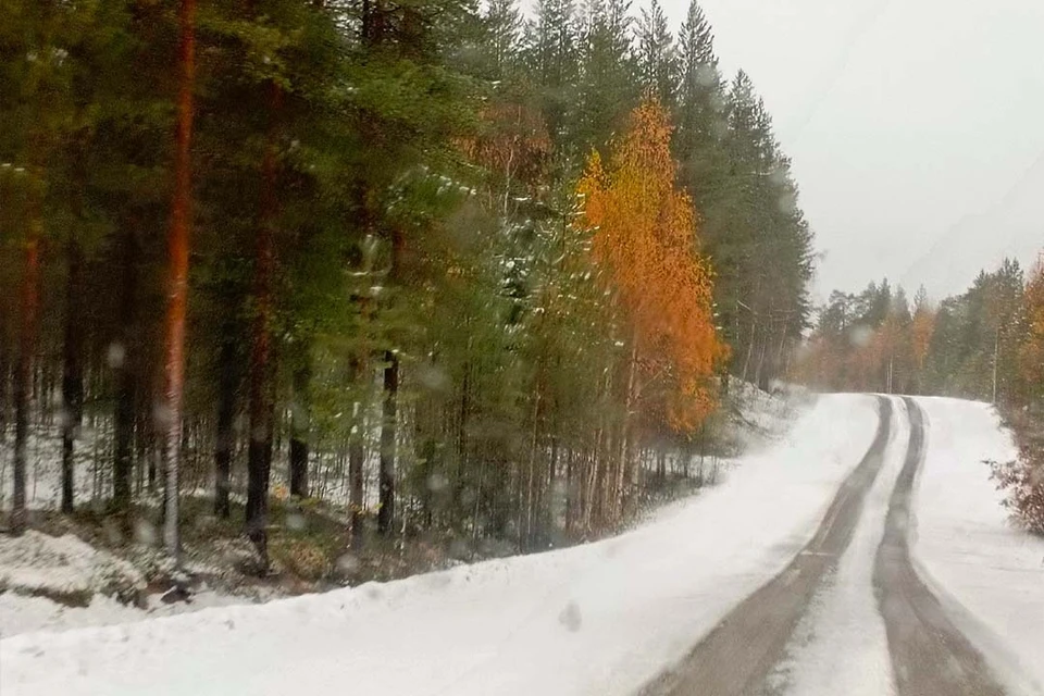 Дорогу в Калевалу замело снегом. Фото: Раиса Тупина/ВК