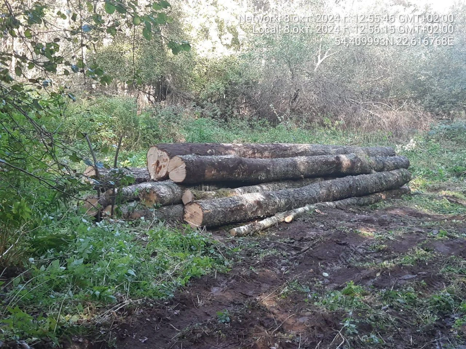 Фото: Минприроды региона.