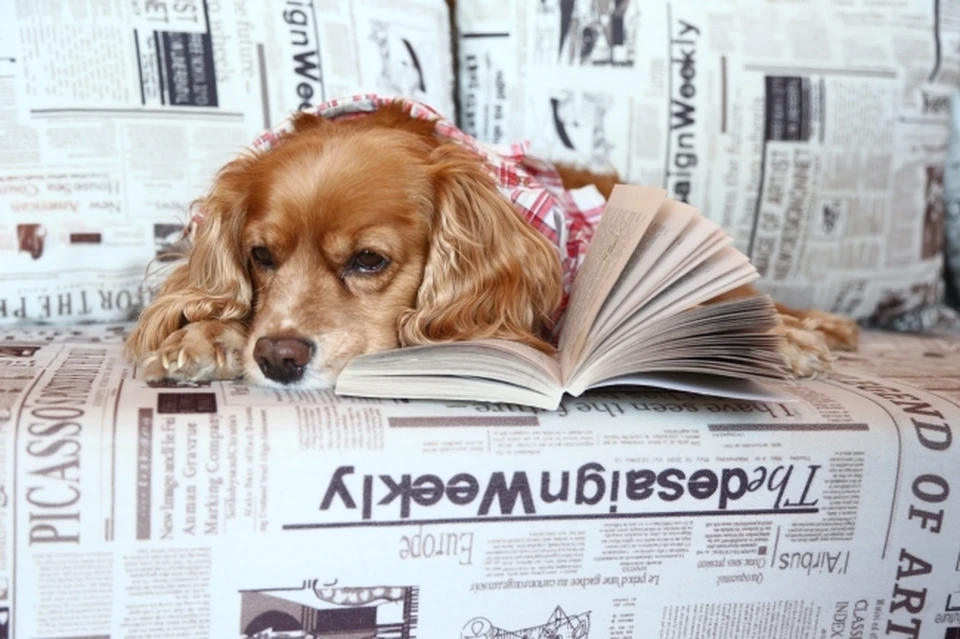 Акция «БумБатл» продлится до 15 ноября