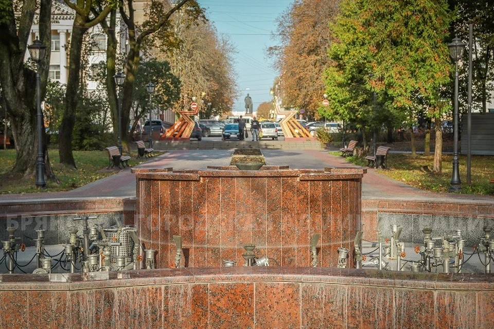 Фото: пресс-служба Брянской городской администрации.