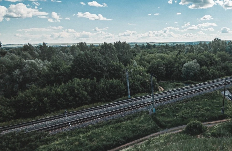 Фото: пресс-служба городской думы Сосновки