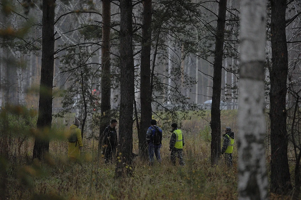 Похожую девочку увидели идущей по трассе в сторону Вольно-Надеждинского.
