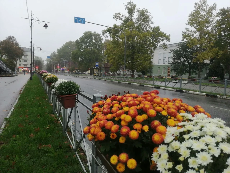 Цветы появятся на улицах Кирова, Севастопольская, Самокиша и Гоголя