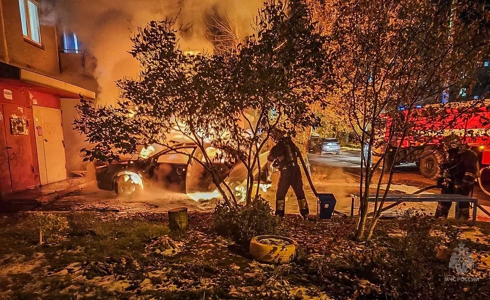 Фото: МЧС России по Омской области