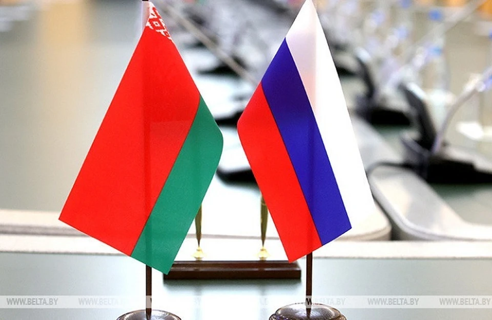 Шойгу и Вольфович обсудили сотрудничество России и Беларуси. Фото: архив БелТА.