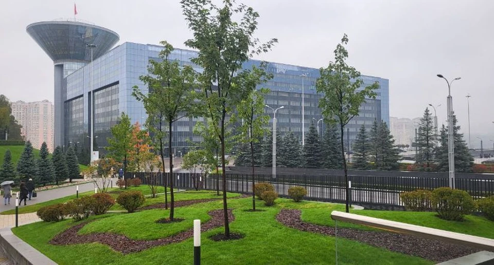 Фото: пресс-служба AVA Group.