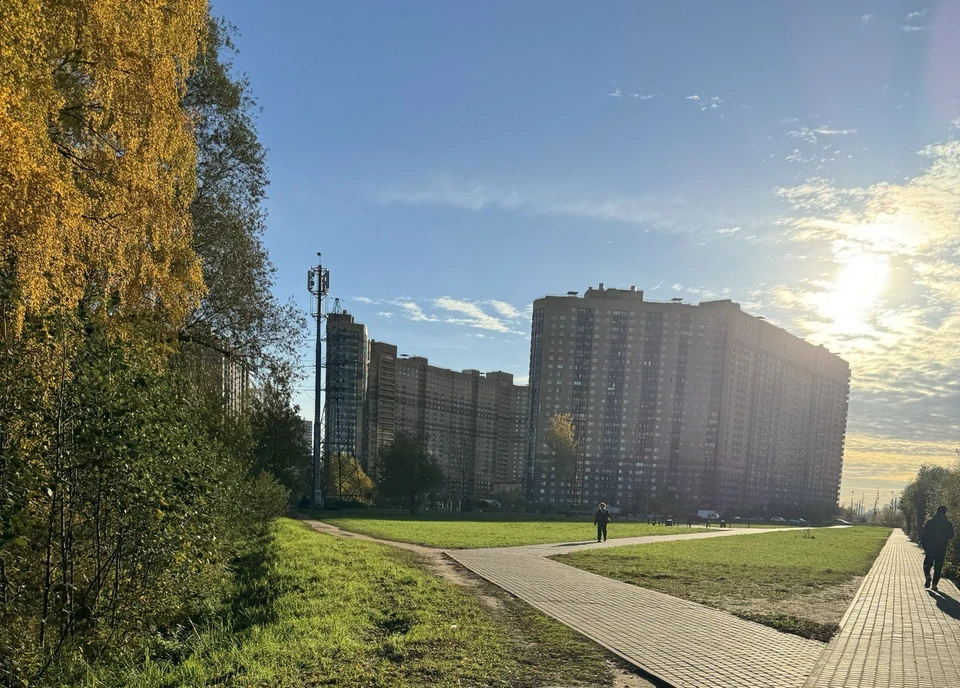 Теплая погода задержится в Тюмени и области еще на две недели.