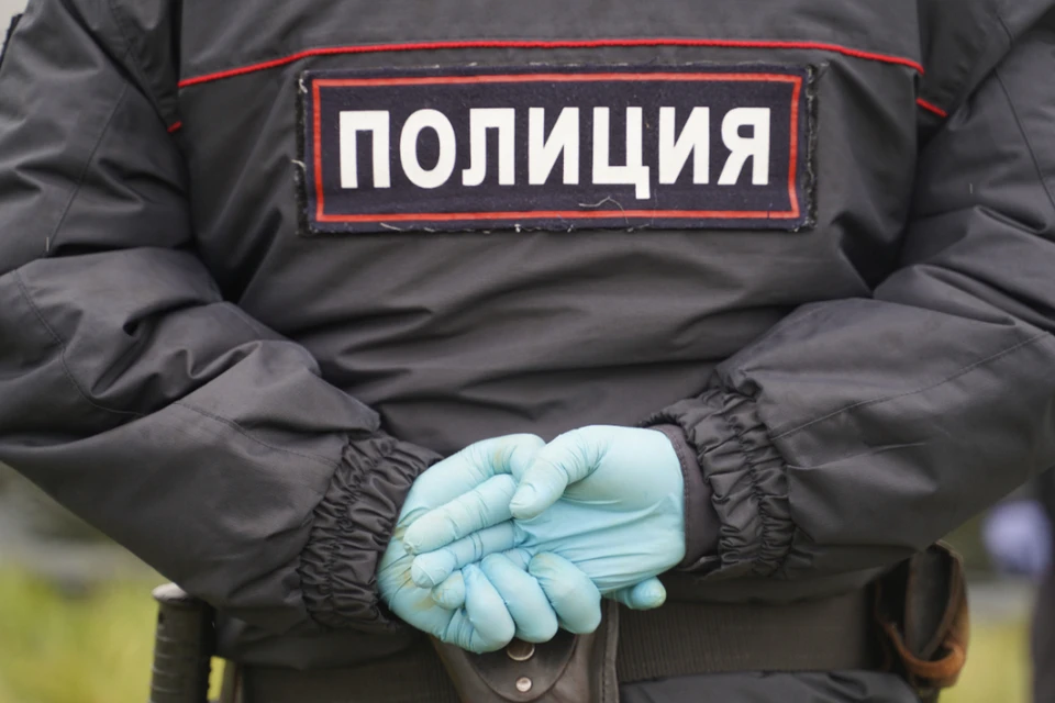 Задержанному грозит штраф за мелкое хулиганство.