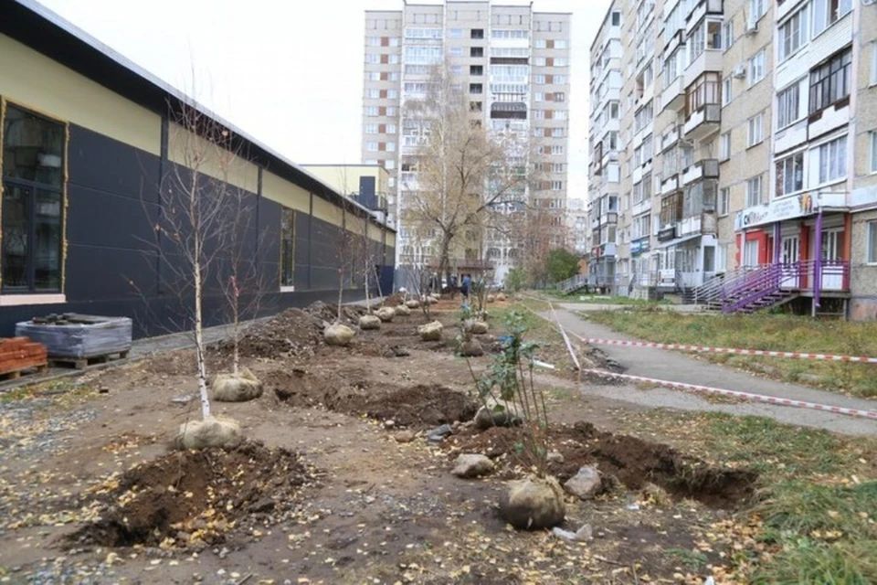 Застройщик будет ухаживать за зелеными насаждениями в течение трех лет. Фото: администрация Ижевска