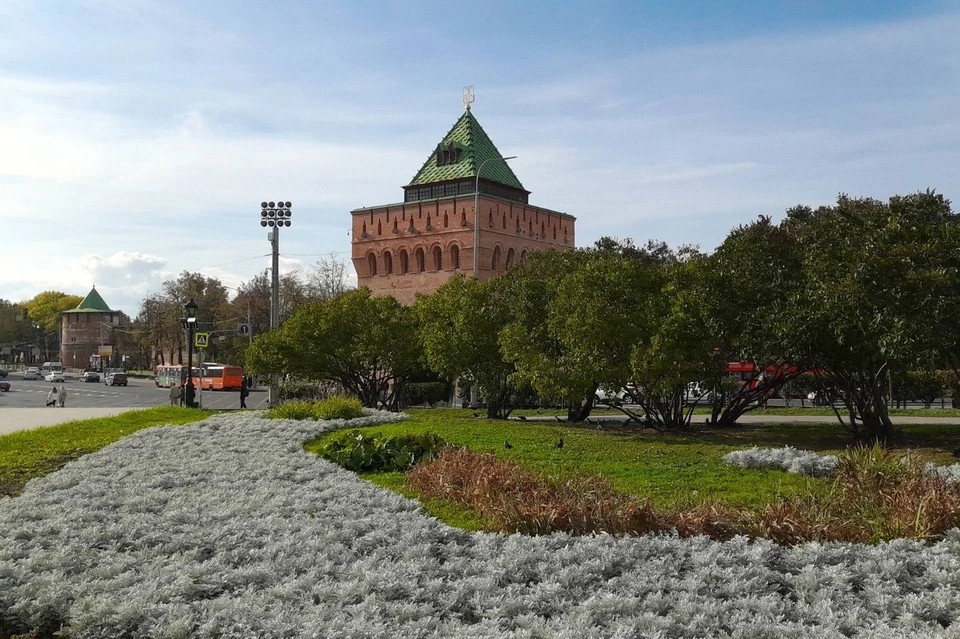 Девять городских округов Нижегородской области станут муниципальными в 2025 году.