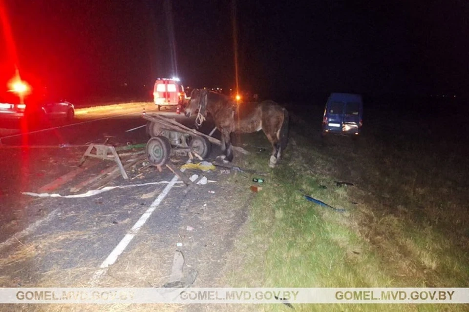 В Добрушском районе произошло ДТП с гужевой повозкой. Фото: УВД Гомельского облисполкома.