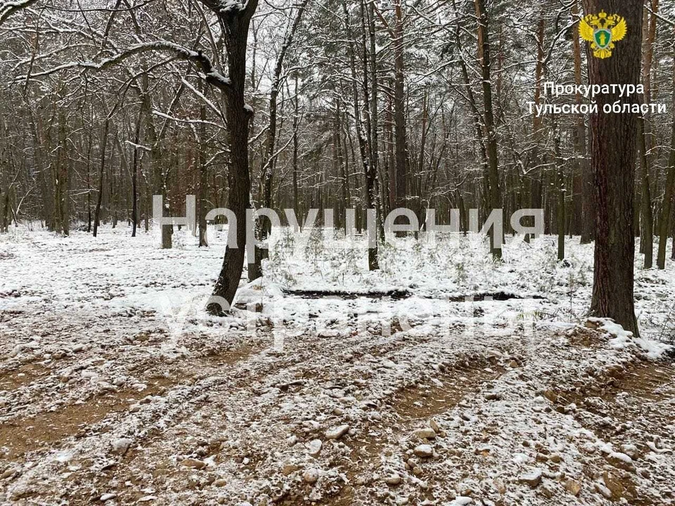 С территории лесного участка в Тульской области вывезли 30 кубометров древесины после вмешательства прокуратуры