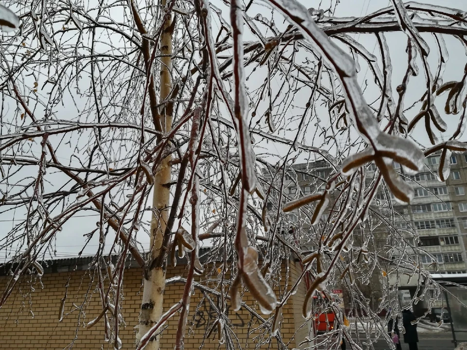 Месячная норма осадков выпадет в Нижнем Новгороде в ближайшие дни