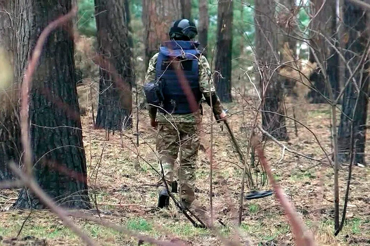 Пиротехники МЧС успешно обезвреживают вражеские боеприпасы в курском приграничье