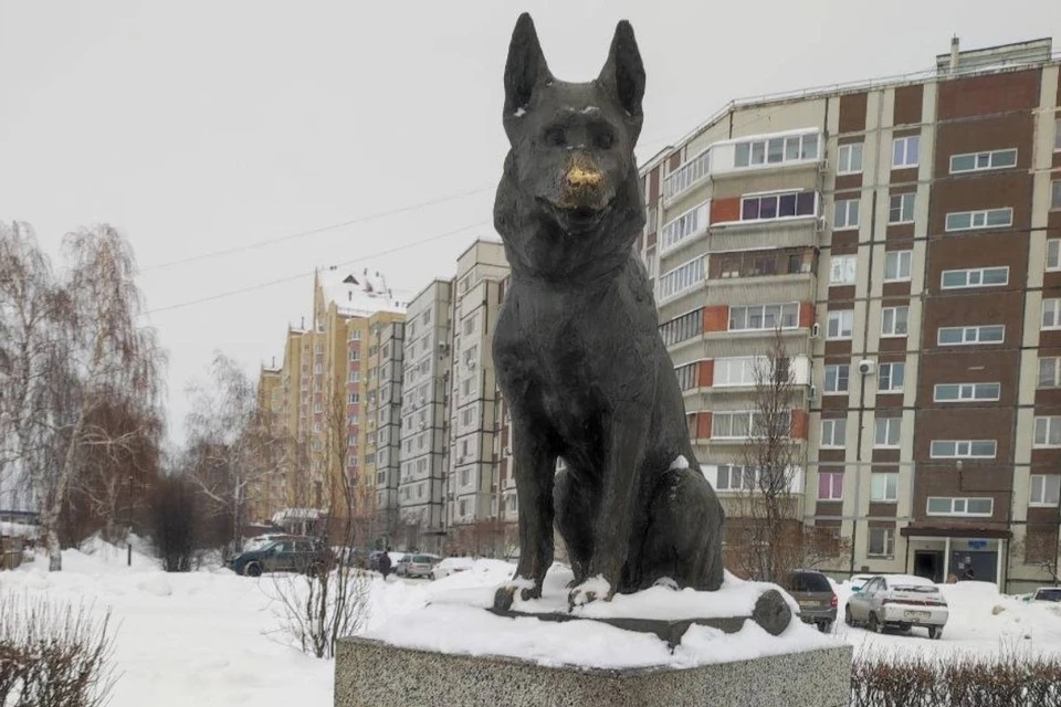 В Тольятти стоит памятник местному Хатико – псу по кличке Костя.