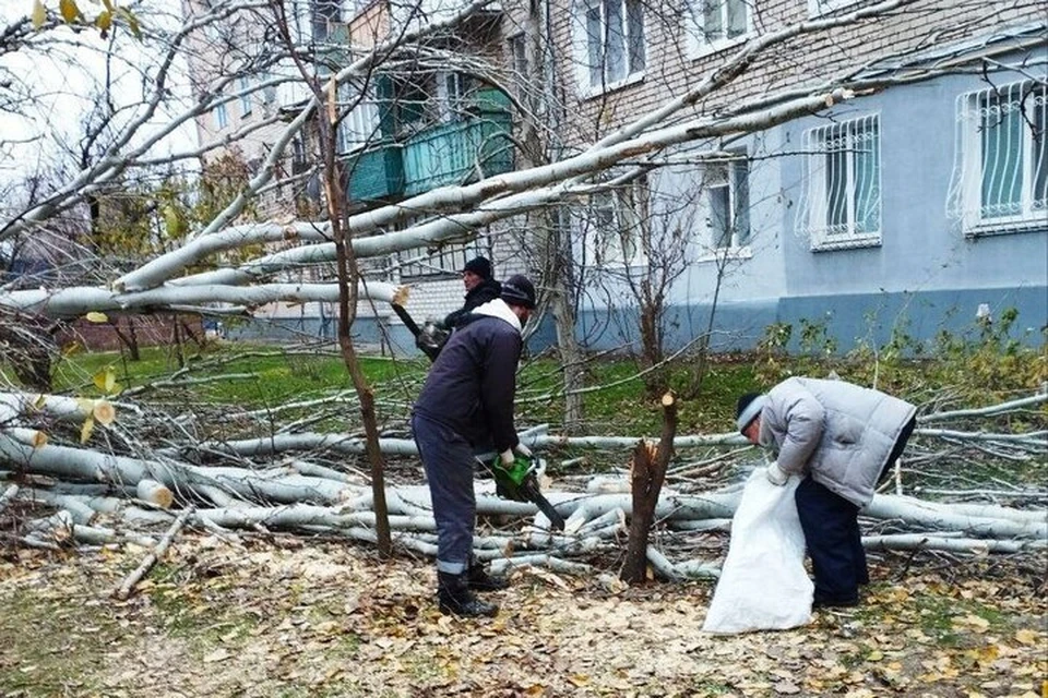 За неделю специалисты успешно справились с рядом поставленных задач, не смотря на атаки украинских боевиков. ФОТО: администрация Каховского округа